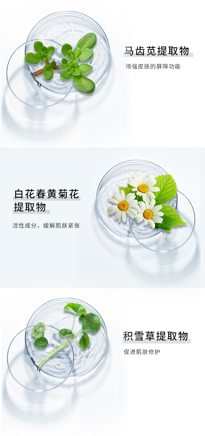 精粹水最終版_07.jpg