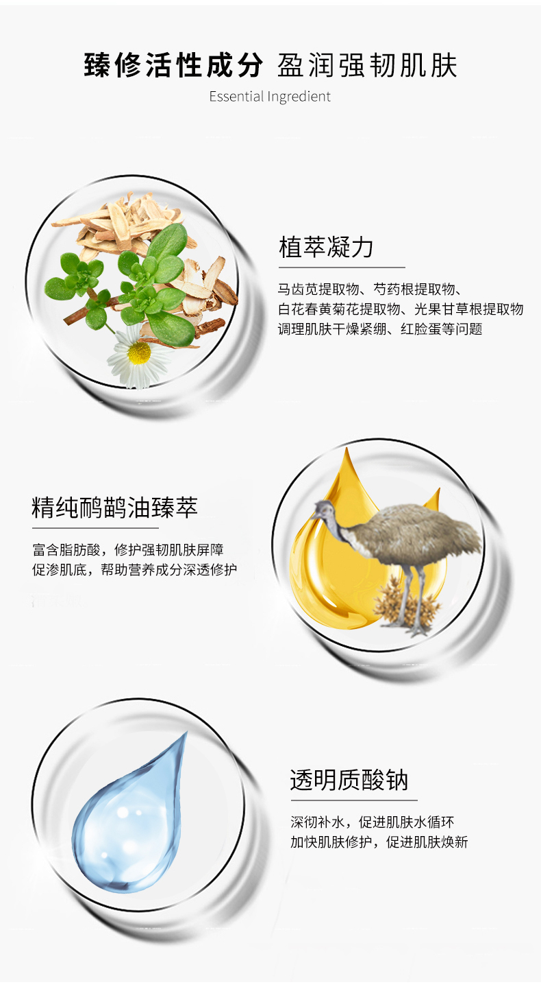 面膜最終版_04.jpg