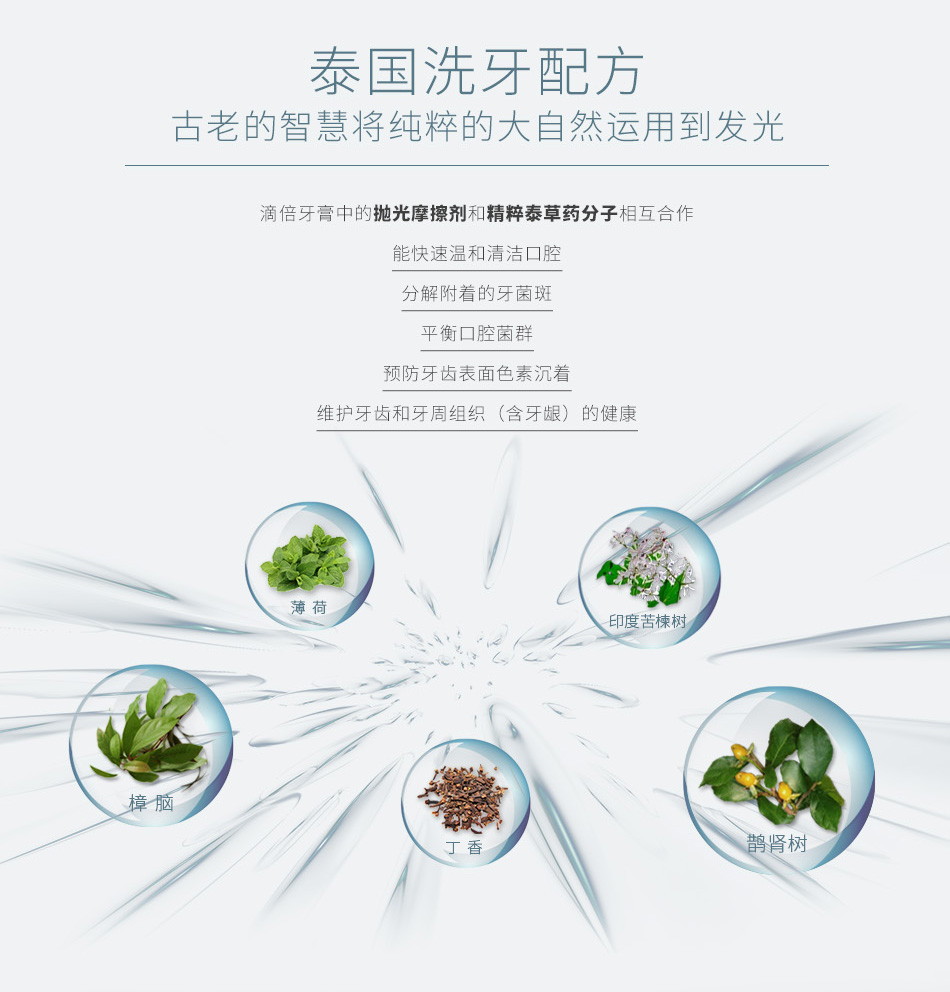20181108滴倍牙膏內頁0_06.jpg